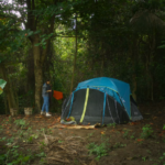 Esta Isla movie review