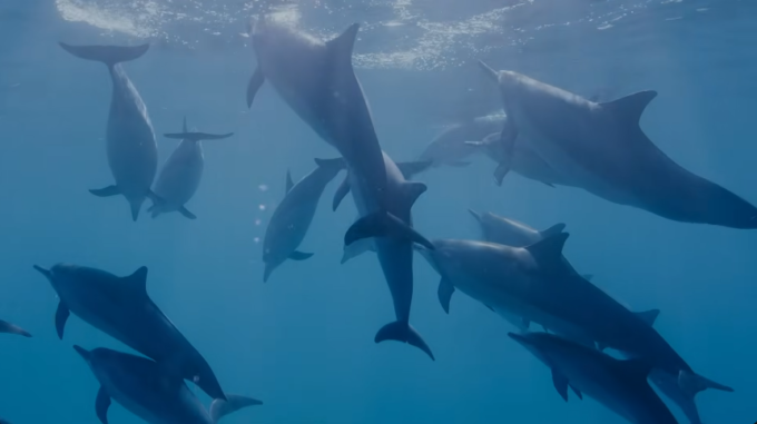 John Lilly and the Earth Coincidence Control Office Review