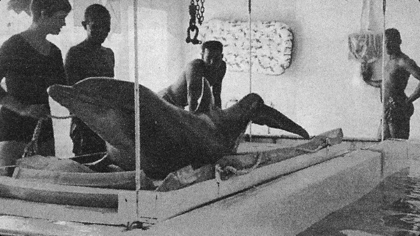 John Lilly and the Earth Coincidence Control Office Review