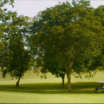 Esta Isla Movie Review 2026